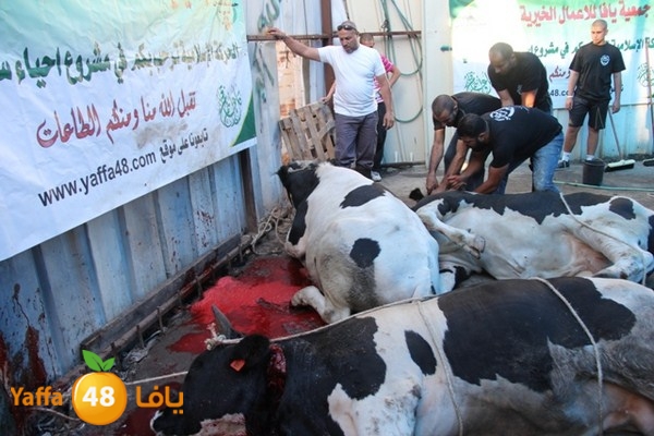 ada7y 116 n1 (5).JPG